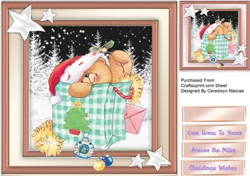  Teds Christmas Shopping 