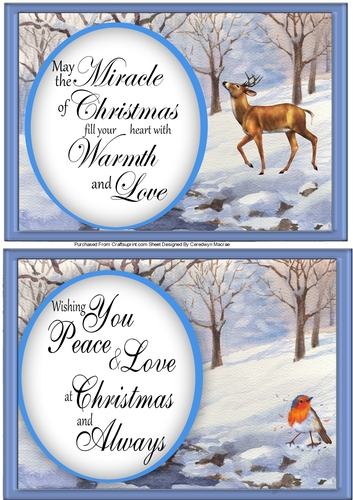 2, Lovely A5  Christmas Toppers 