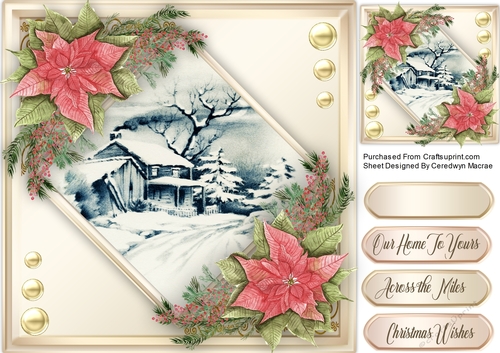 Beautiful Poinsettias and Scene 1