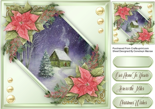 Beautiful Poinsettias and Scene 2