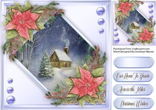 Beautiful Poinsettias and Scene 3