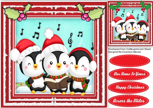 Singing Penguins 