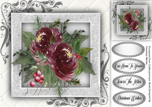 Beautiful Christmas Roses 