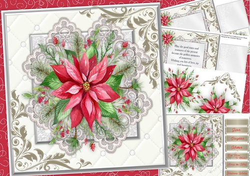 Beautiful Poinsettia on Lace 