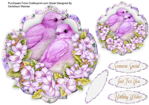 Beautiful Birds and Blossom 