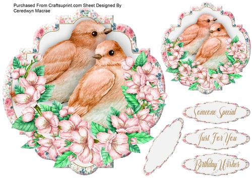 Beautiful Birds and Blossom 