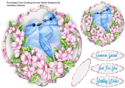 Beautiful Birds and Blossom 