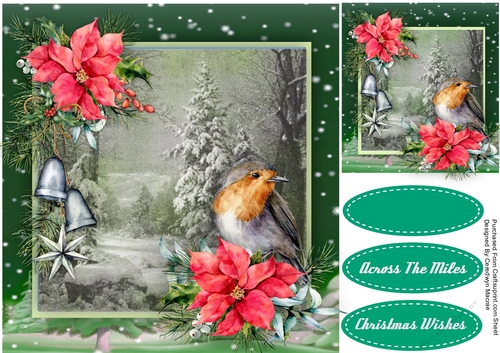 Robin and Poinsettias 2