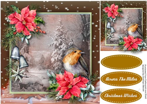 Robin and Poinsettias 4