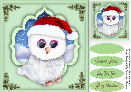 Christmas Owl 3