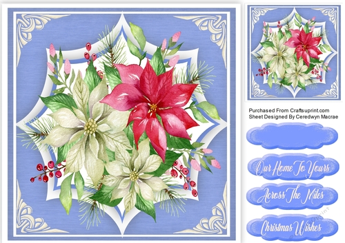 Christmas Poinsettias