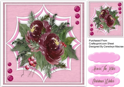 Beauutiful Christmas Roses