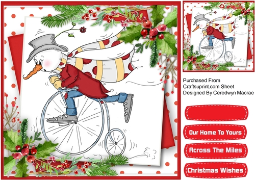 Bicycle Snowman