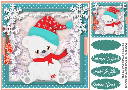 Cute Pola Bear 2
