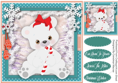 Cute Pola Bear 3
