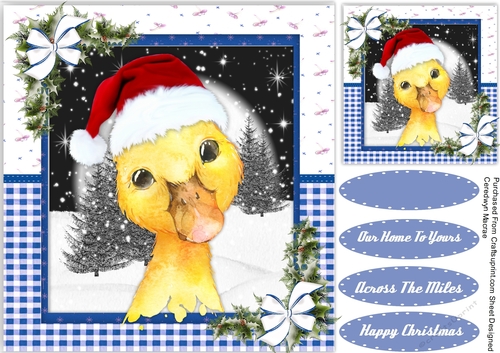Gorgeous Christmas Duck