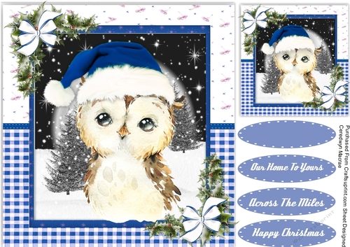 Gorgeous Christmas Owl