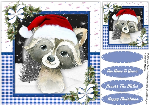 Gorgeous Christmas Raccoon