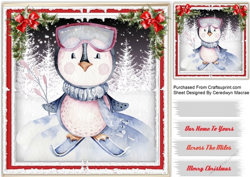 Penguins Joy 2