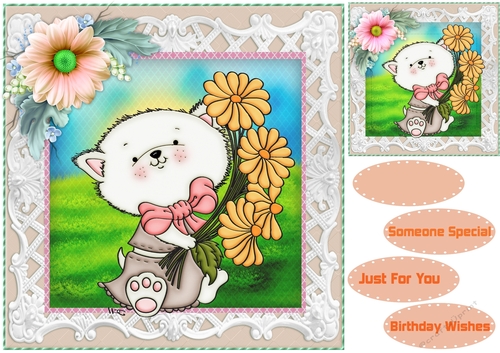 Beautiful Daisy Kitten