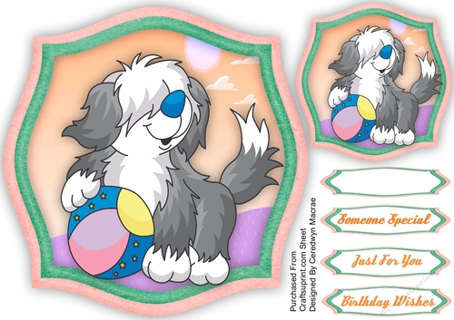 Cute Sheepdog Playing Ball