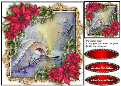 Bridge Over The River ,With  Red Poinsettias 