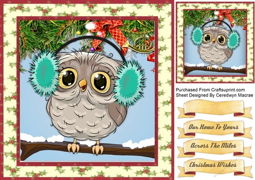 Gorgeous Owl in Ear Muffs 