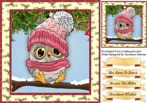 Gorgeous Owl in a Pink Hat