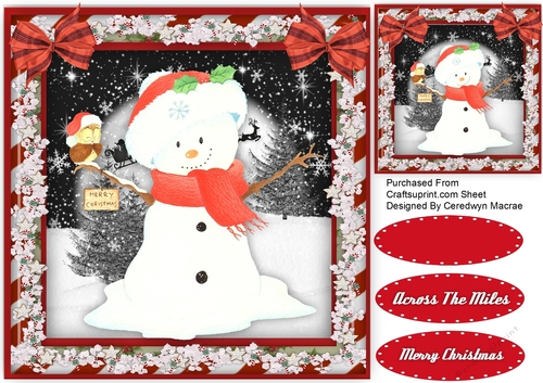 Snowman In The Snow