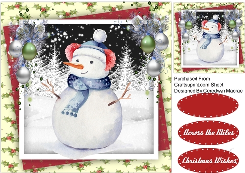 Cute Snowman in his Wooly Hat 