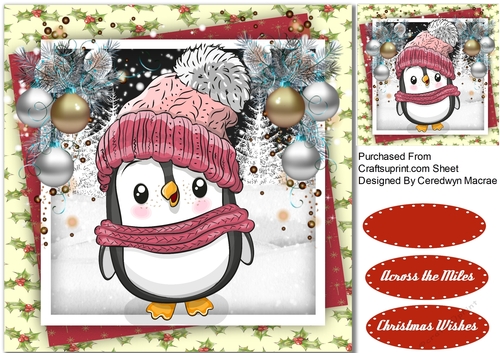 Owl In a Pink Hat 