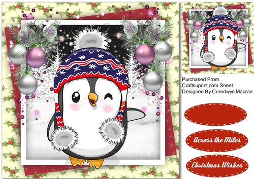 Owl In a Winter Hat 