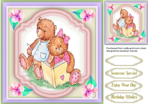 Teddies Story Time 2