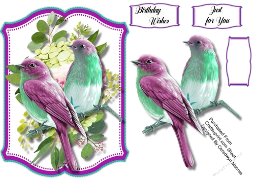 Beautiful lilac and Aqua Birds 