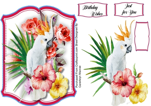 Beautiful Parrots and Petunias