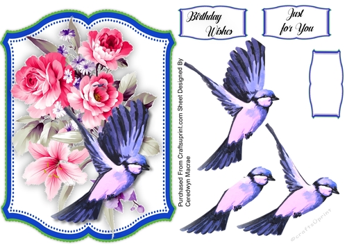 Beautiful Humming Bird and Roses