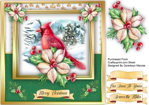 Beautiful Cardinal and Christmas Roses 