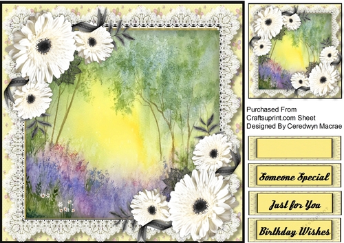 Beautiful Daisy Fern 