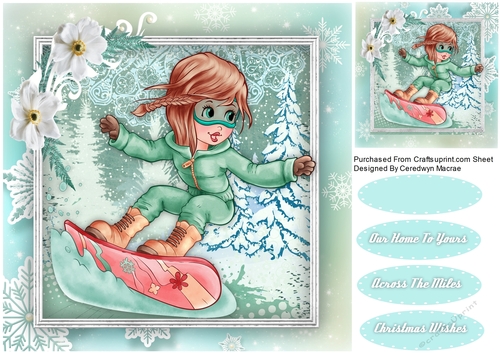 Christmas Skate Boarder