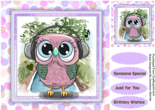 Owls  Musical Head Phones 