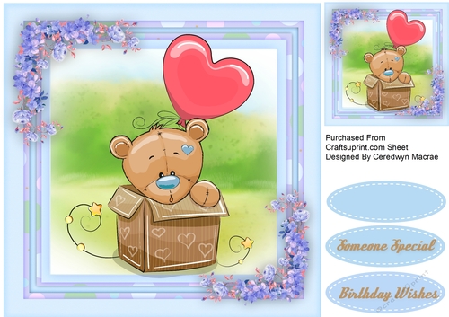 Little Bear In a Box 