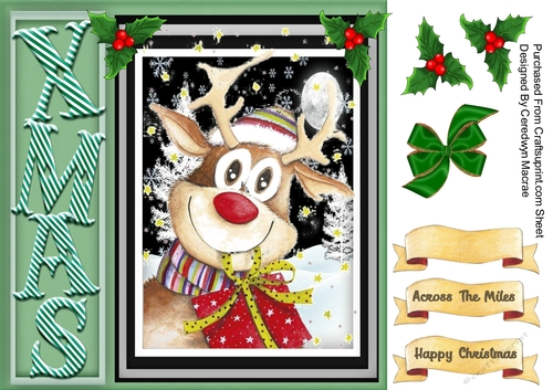 Reindeer Fun 