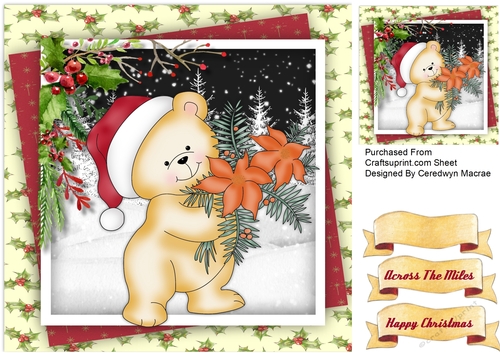 Little Poinsettia Bear 