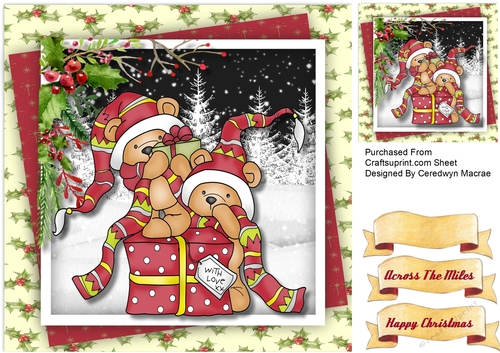 Teddies Box of Pressies 
