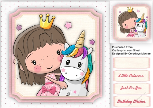 Little Princess and Unicorn 