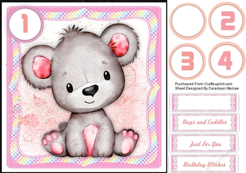 Gorgeous Little Pink Bear 