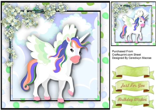 Beautiful Unicorn and Blossom 
