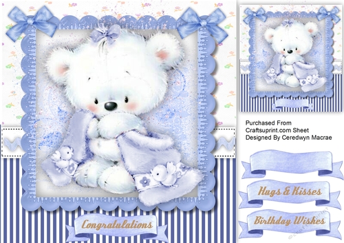 Gorgeous Little Blue Bear
