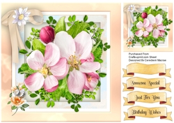 Beautiful Cherry Blossom