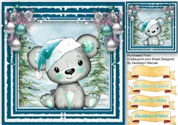 Bear in a Aqua Hat